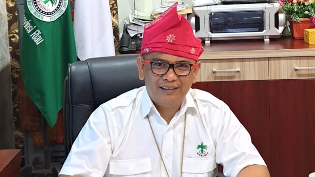 Ketua Umum Asosiasi Petani Kelapa Sawit Indonesia (Apkasindo), Gulat Medali Emas Manurung. Foto: Dok. Pribadi/Gulat Medali Emas Manurung