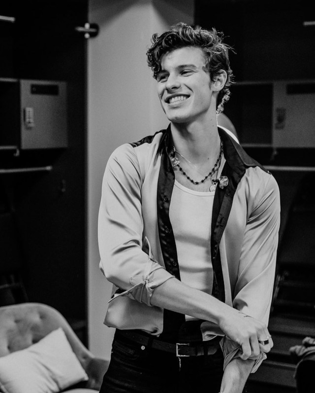 Shawn Mendes Foto: Instagram/@shawnmendes