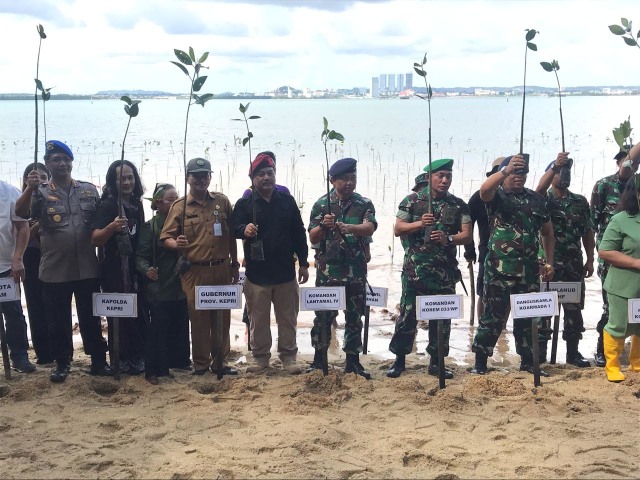 Danlantamal IV Pimpin Penanaman Mangrove Serentak di Batam