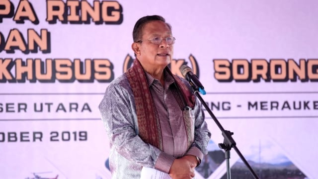 Menko Perekonomian, Darmin Nasution saat meresmikan beroperasinya Kawasan Ekonomi Khusus (KEK) Sorong di Papua, Barat. Foto: Dok. Kemenko Perekonomian