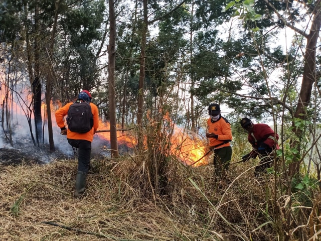 Petugas berusaha memadamkan api dengan kayu dan daun. Foto dokumentasi Tahura.