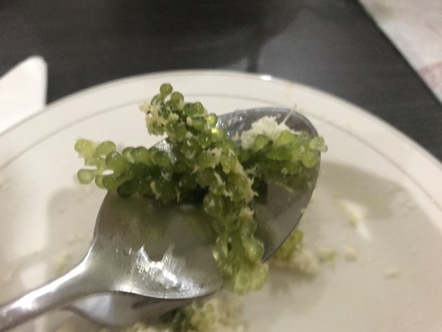 "Lat" atau Anggur Laut