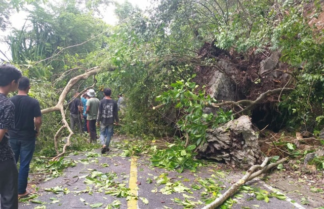 Longsor tanah dan batu di Gunung Geurutee, Aceh Jaya. Foto: Dok. BPBA