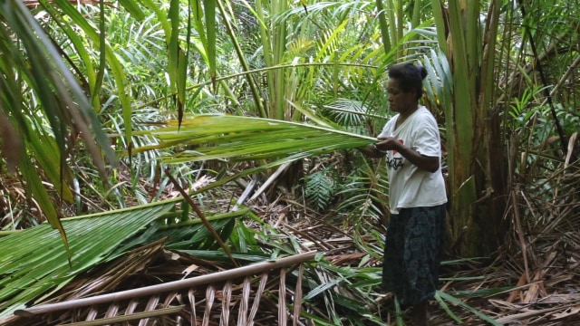 Seorang mama di Kampung Mayaifun, Papua Barat, tengah mengambil daun pohon sagu sebagai bahan pembuatan kerajinan