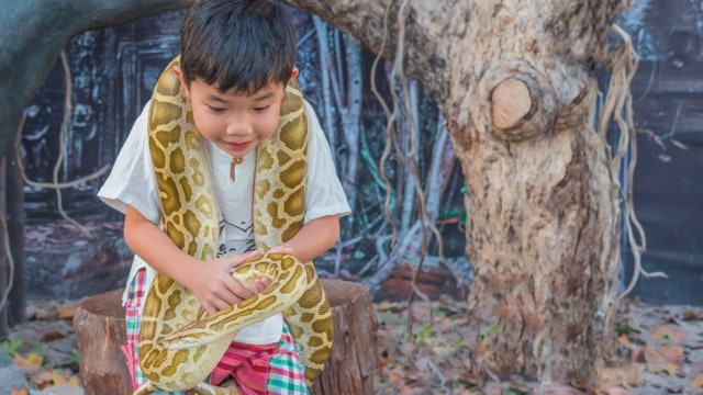 Ilustrasi anak dan ular. Foto: Shutterstock