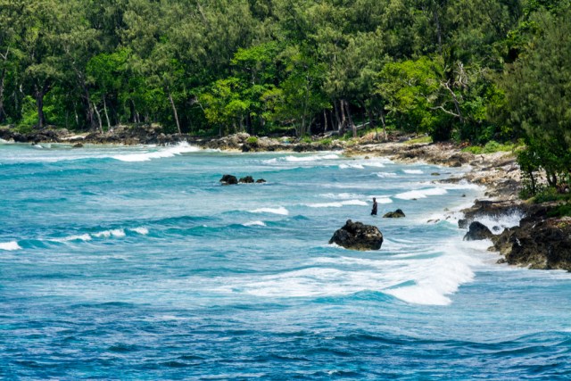 Pulau Lelepa Foto: Shutter Stock