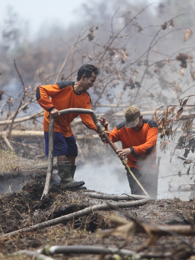 Ilutrasi petugas patroli pencegahan Karhutla melakukan pemadaman kebakaran lahan gambut. Foto: ANTARA FOTO/Bayu Pratama S