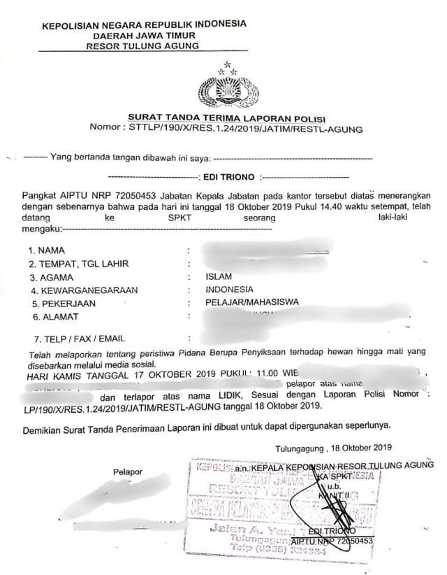 Surat tanda pelaporan polisi terkait kasus dugaan kucing dicekoki ciu. Foto: Dok. Istimewa