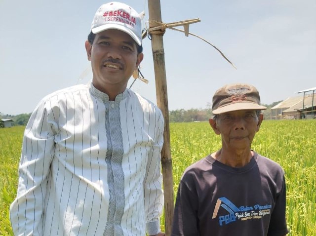 com-Dirjen Tanaman & Pangan Suwandi meninjau lahan sawah di Kabupaten Sragen, Jawa Tengah, Jumat (18/10). Foto: Dok. Dirjen Tanaman & Pangan