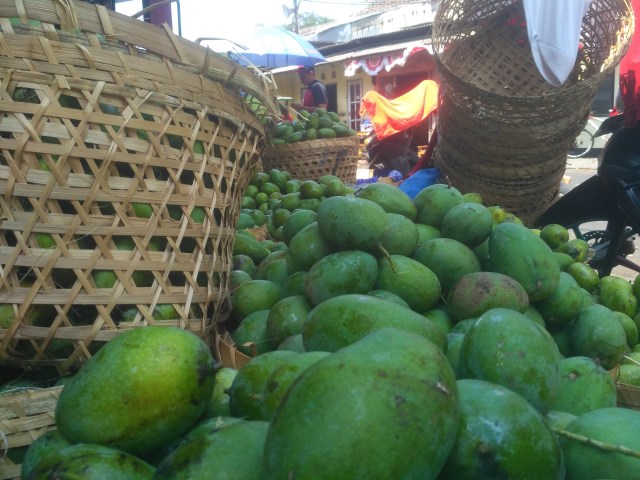 Pada Senin (21/10) kemarin stok mangga di Pasar Buah Gemah Ripah Gamping Sleman masih melimpah. Mangga-mangga ini banyak didatangkan dari Bojonegoro Jawa Timur. Foto oleh : Widi Erha.
