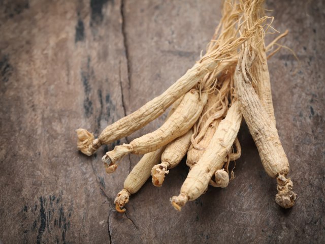 Ginseng Foto: Shutter Stock
