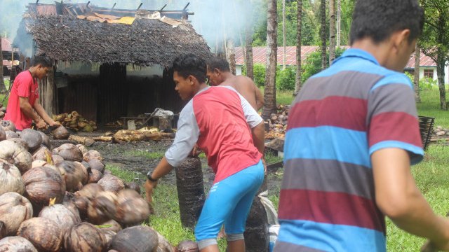 Petani mengolah kopra (foto: dok cermat)