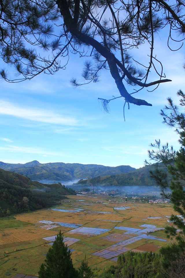 Dataran tinggi Gayo, Aceh menyimpan ragam pesona keindahan alam yang menakjubkan. Foto: Zuhri Noviandi/kumparan