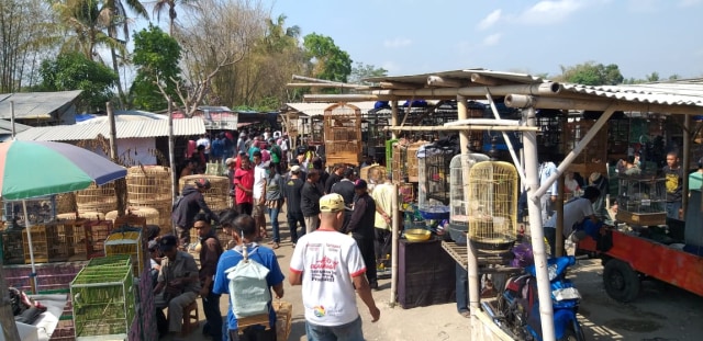 Keramaian Pasar Pahing (Pahingan) di Pasar Sleman DIY. Foto oleh : Hardian Dic Doank