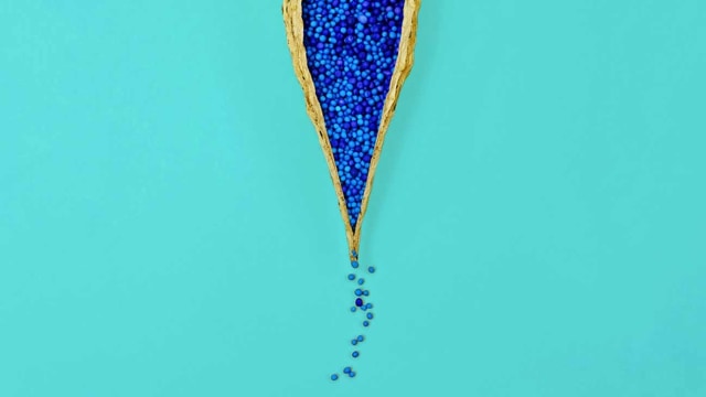 Ilustrasi Vagina Foto: Dok. Shutterstock