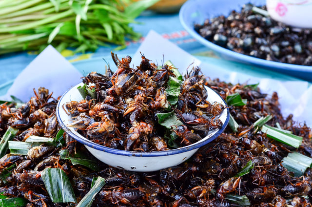 Ilustrasi serangga goreng Foto: dok.shutterstock