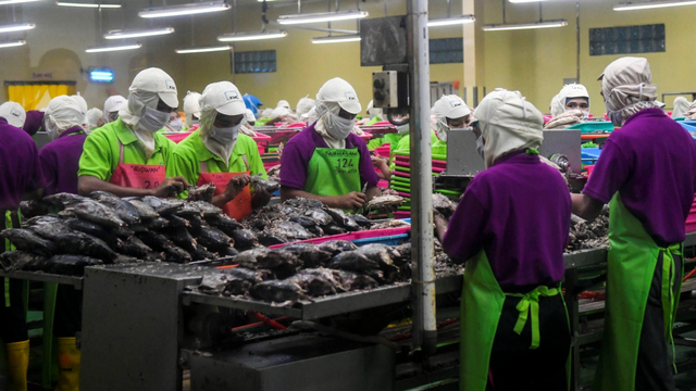 Suasana di Industri Pengolahan Ikan Tuna di Pelabuhan Perikanan Samudera Nizam Zachman, Muara Baru, Jakarta, Senin (28/10/2019). Foto: ANTARA FOTO/Galih Pradipta