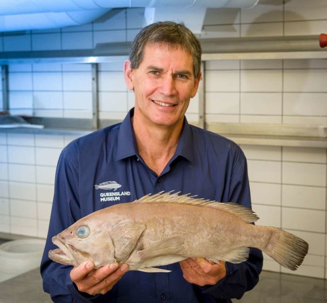 Jhonson bersama spesies ikan kakap baru, Epinephelus fuscomarginatus. Foto: Queensland Museum
