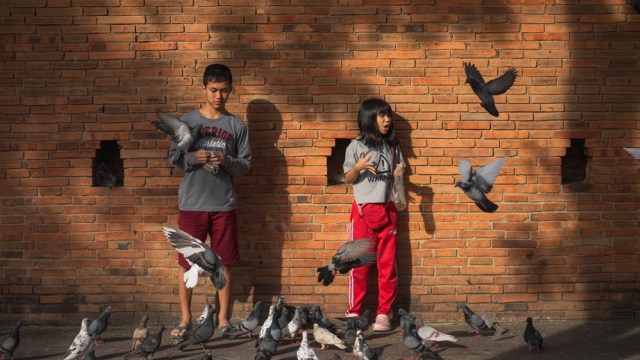Wisatawan berfoto bersama burung merpati di Thae Pae Gate Foto: Shutter Stock