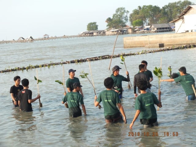 Mahasiswa IPB University Lakukan Konservasi Mangrove di Pulau Cangkir, Tangerang