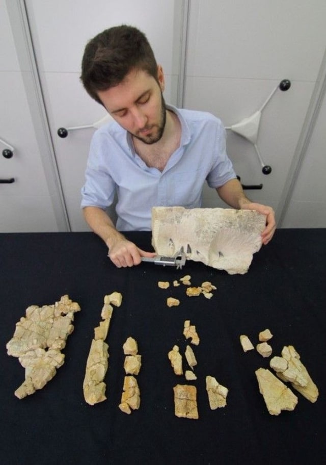 Daniel Tyborowski, penemu fosil monter laut pliosaurus di Polandia. Foto: Science in Poland