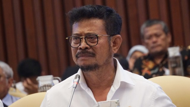 Menteri Pertanian Syahrul Yasin Limpo. Foto: Fanny Kusumawardhani/kumparan 