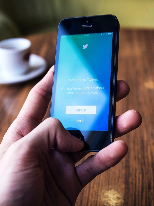 Ilustrasi main Twitter. Foto: Pixabay