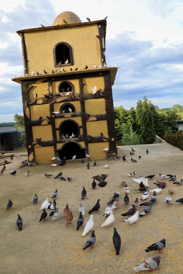 Taman Safari Gurun Putih Lestari di Jantho, Aceh Besar, yang terdapat banyak koleksi flora dan fauna, pada Sabtu (2/11). Foto: Suparta/acehkini