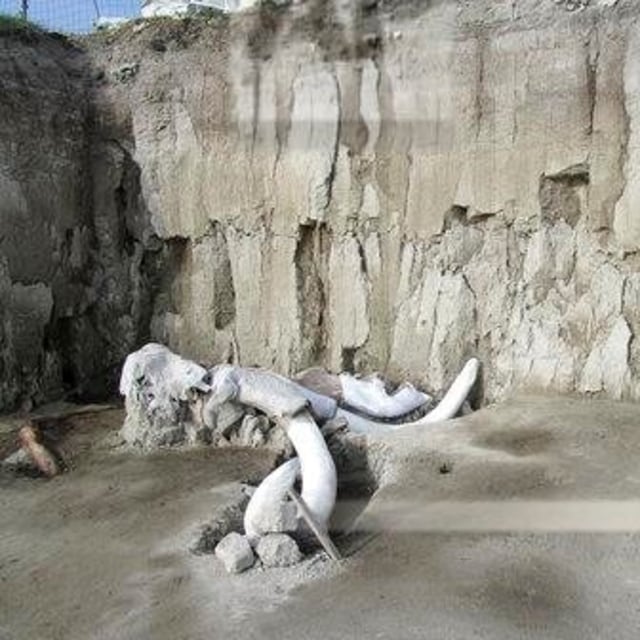 Lubang perangkap yang digunakan manusia memburu mammoth. Foto: AP Images