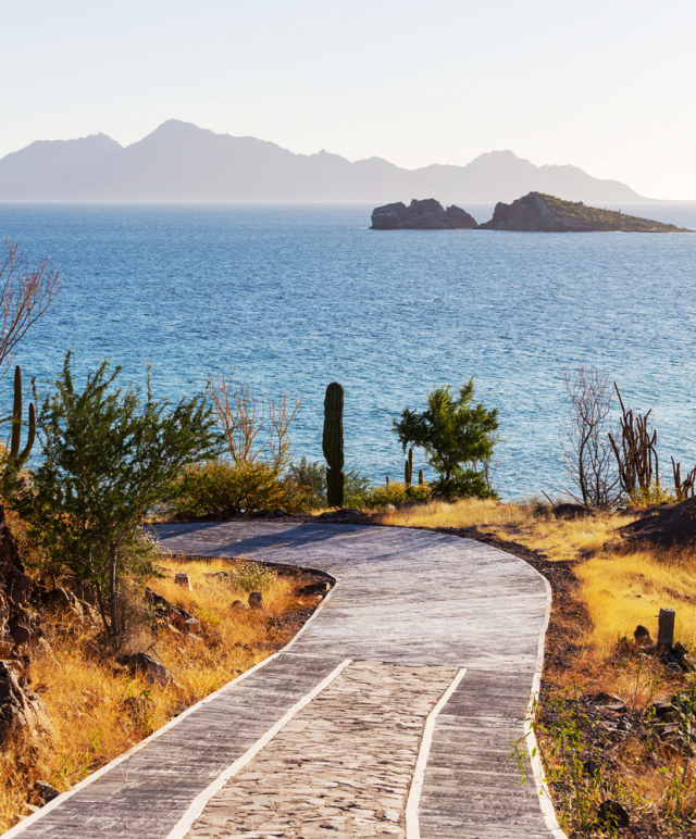 Baja California (portrait) Foto: Shutter Stock