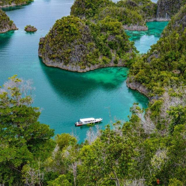 Pesona indahnya Pulau Kri Foto: Shutter Stock