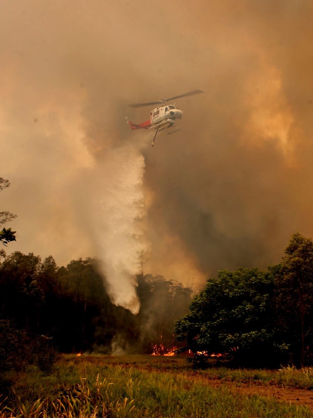 Helikopter pemadam kebakaran berusaha memadamkan kebakaran hutan di di Woodford NSW, Australia, Jumat (8/11). Foto: AAP Image / Shane Chalker / via Reuters
