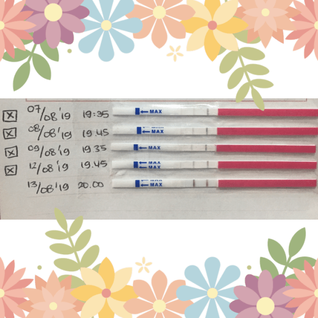 Pengalaman Menggunakan Test Kesuburan/Ovutest