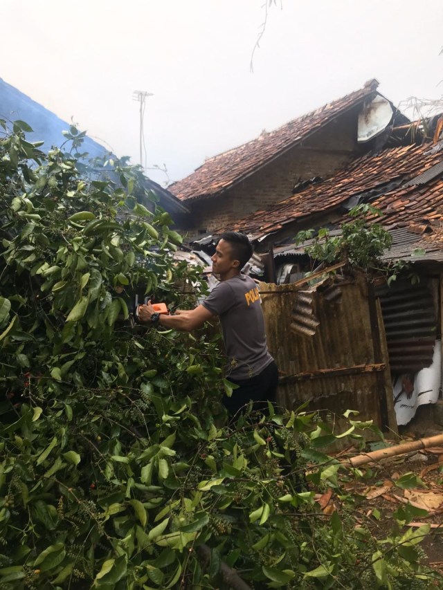 Anggota polisi menebang pohon yang tumbang usai dilanda hujan angin di Serang, Banten, Rabu (13/11). Foto: Dok. Istimewa