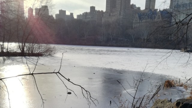 Salah satu sudut Central Parkyang beku di musim dingin (foto: koleksi pribadi/mohammad David)