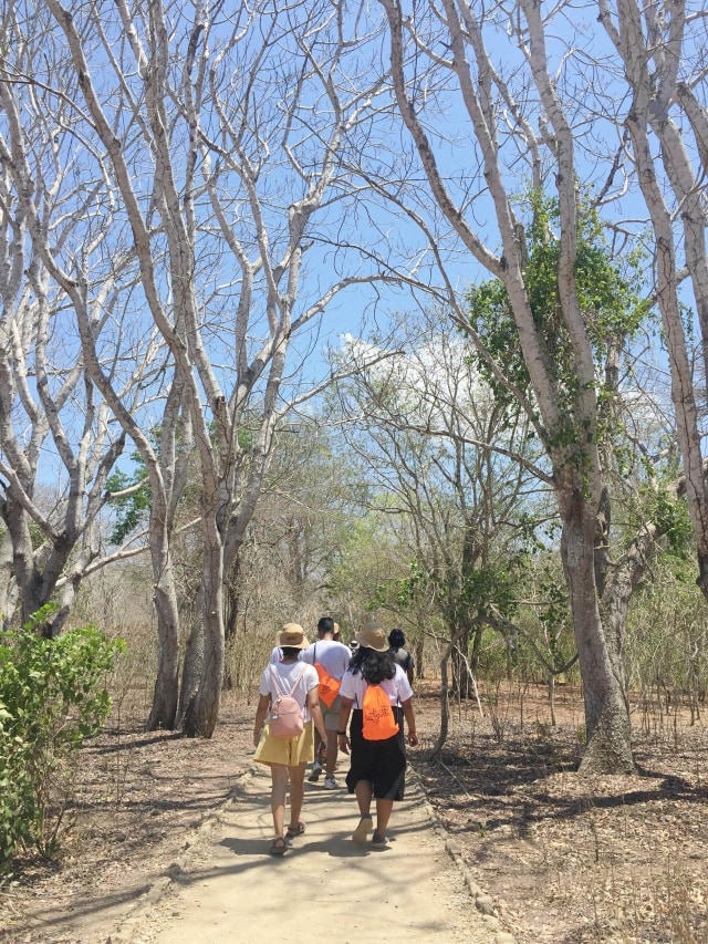 Perjalanan menuju Taman Nasional Komodo, Labuan Bajo, Flores, Nusa Tenggara Timur.  Foto: Ema Fitriyani/kumparan