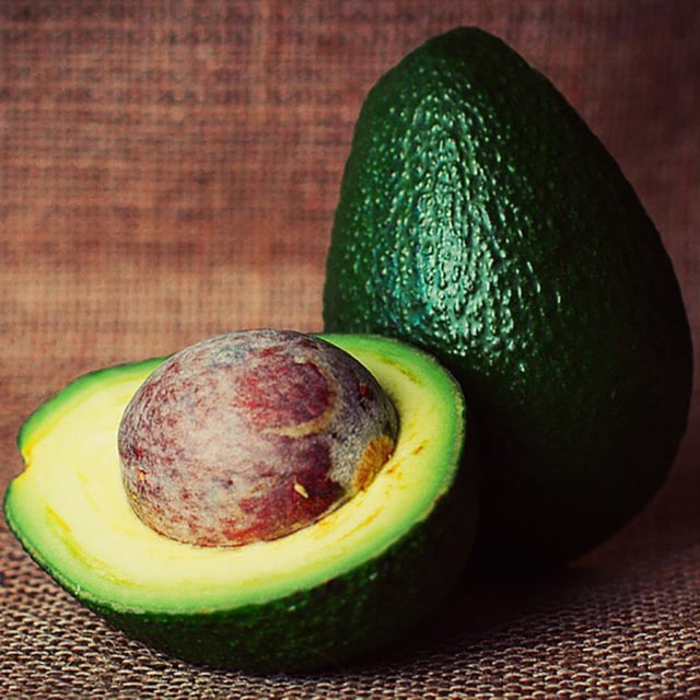 Ilustrasi alpukat Foto: pixabay