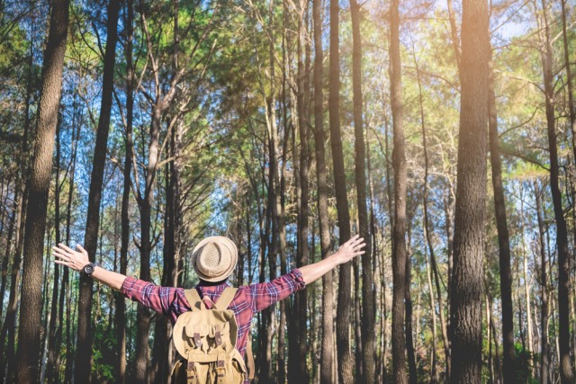 com-Ilustrasi wisata alam. Foto: Shutterstock