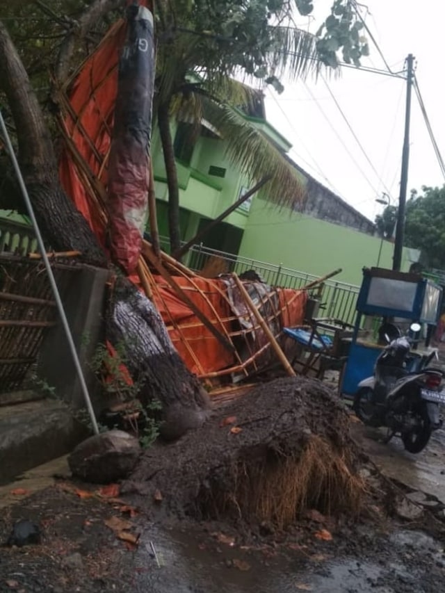 Kerusakan jalan usai puting beliung, di Sragen, Jawa Tengah. Foto: Dok. Istimewa