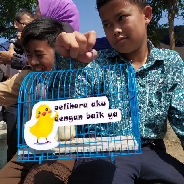 Siswa menunjukan anak ayam yang dibagikan Wali Kota Bandung. Foto: Rachmadi Rasyad/kumparan