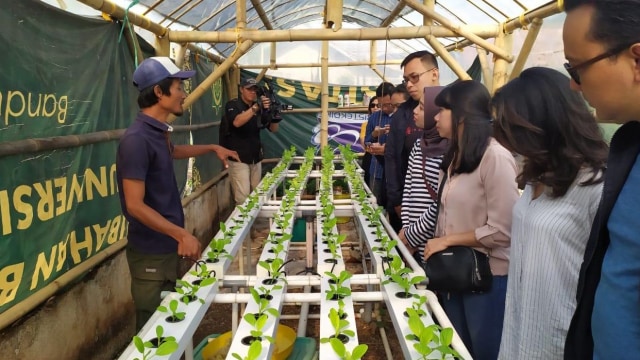 Warga melakukan penanaman biopori dan pengolahan kompos di Kampung Berseri Astra Cidadap, Padalarang, Bandung Barat. Foto:  Maulana Ramadhan