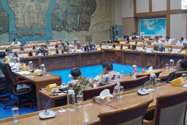 Suasana saat Rapat Kerja Komisi VII dengan PLN, Senin (25/11). Foto: Helmi Afandi Abdullah/kumparan