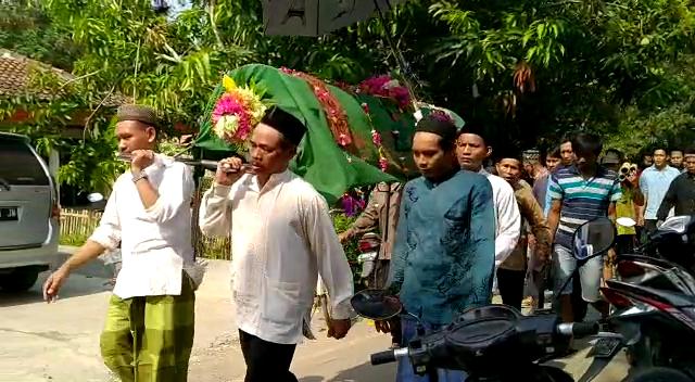 Suami Istri di Pemalang Tewas Diserang Lebah