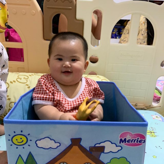 Umur 6 Bulan Sudah Bisa BAB dan BAK Di Toilet?