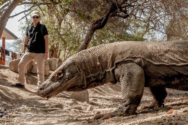 Wishnutama berfoto bersama komodo, binatang purba khas NTT Foto: Dok. Kemenparekraf