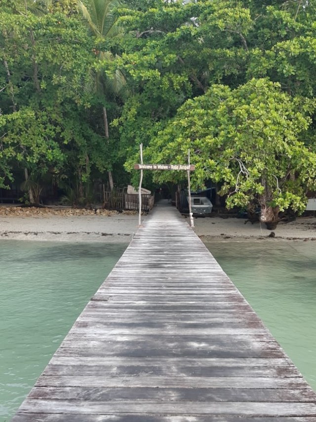 Dermaga Waiwo, Raja Ampat.  Foto: Marcia Audita/kumparan 