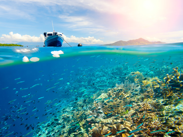 Ilustrasi keindahan alam bawah laut Bunaken Foto: Shutter Stock