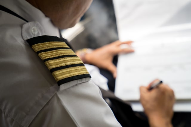 Ilustrasi pilot. Foto: Shutter Stock