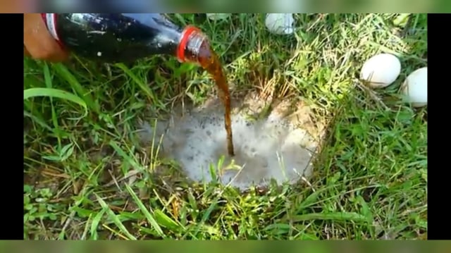 Teknik memancing ikan dengan hanya mengandalkan minuman bersoda dan telur bebek. (Foto: Tangkapan layar YouTube/Fishing KP)