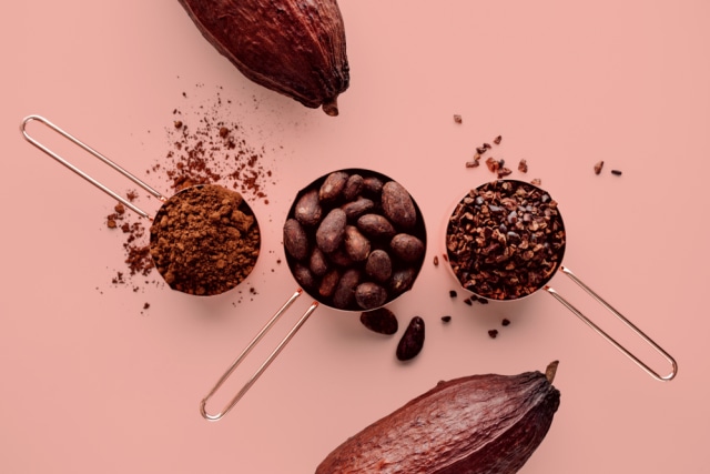 Ilustrasi biji cokelat Foto: dok.shutterstock